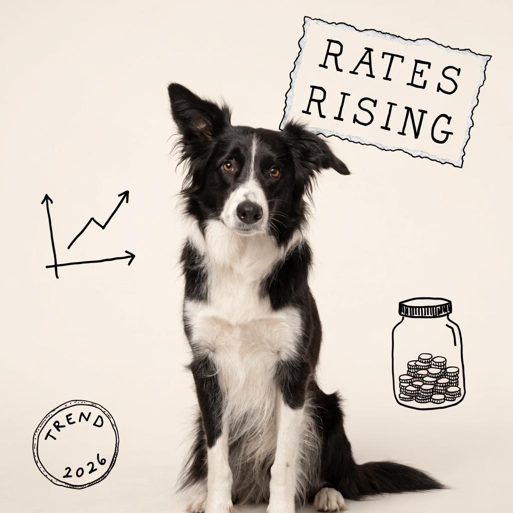 A border collie beside an ink-drawn upward trend chart and a jar of coins, with a torn-paper card reading "rates rising"